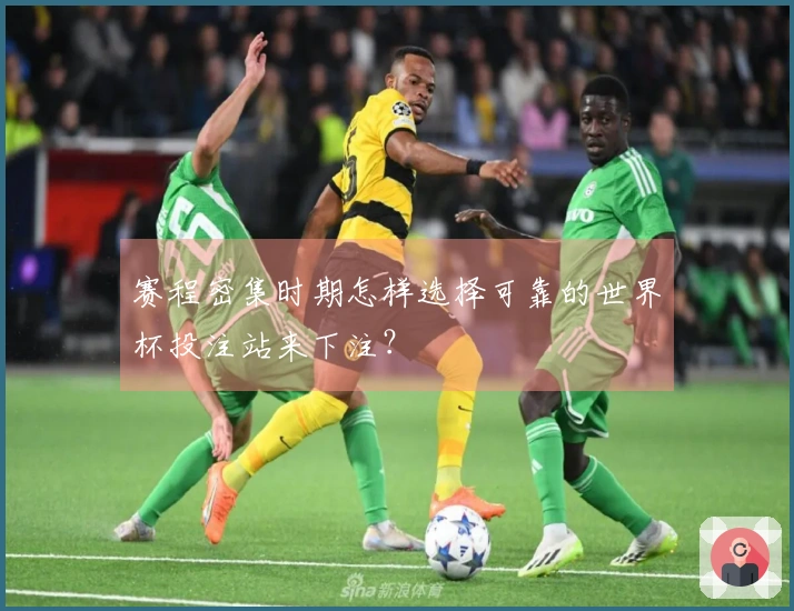 赛程密集时期怎样选择可靠的世界杯投注站来下注？