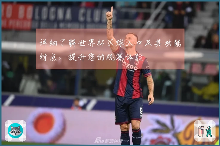 详细了解世界杯买球入口及其功能特点，提升您的观赛体验