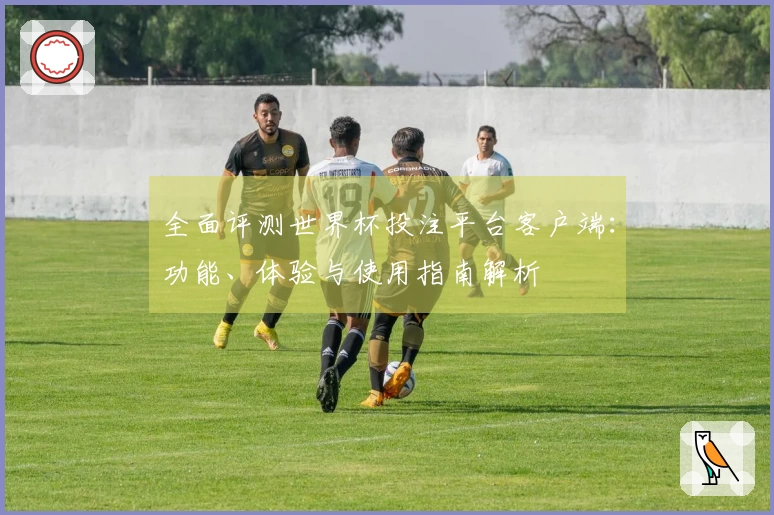全面评测世界杯投注平台客户端：功能、体验与使用指南解析
