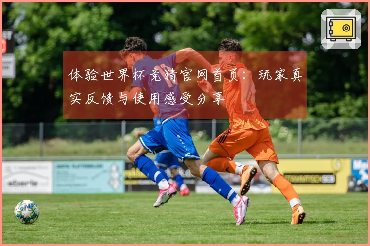 体验世界杯竞猜官网首页：玩家真实反馈与使用感受分享