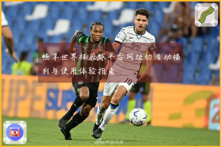 畅享世界杯买球平台网址的活动福利与使用体验指南