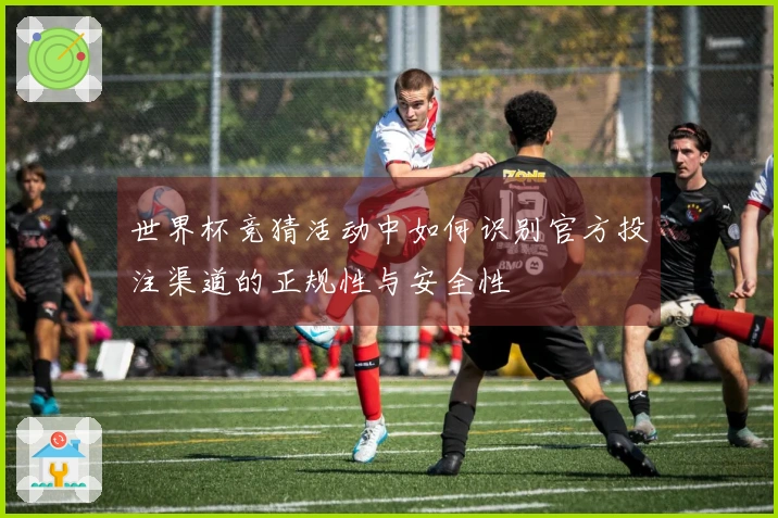 世界杯竞猜活动中如何识别官方投注渠道的正规性与安全性