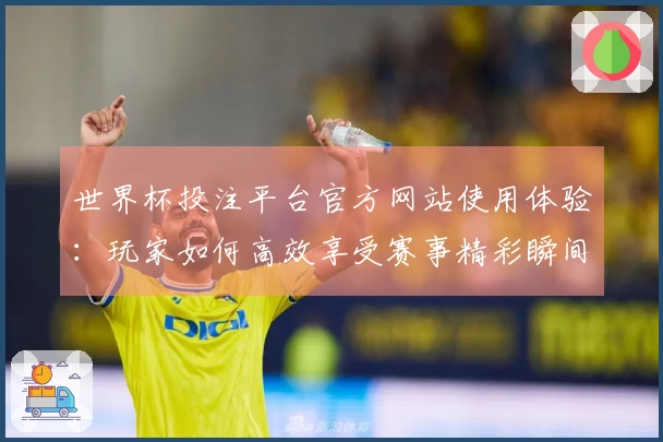 世界杯投注平台官方网站使用体验：玩家如何高效享受赛事精彩瞬间
