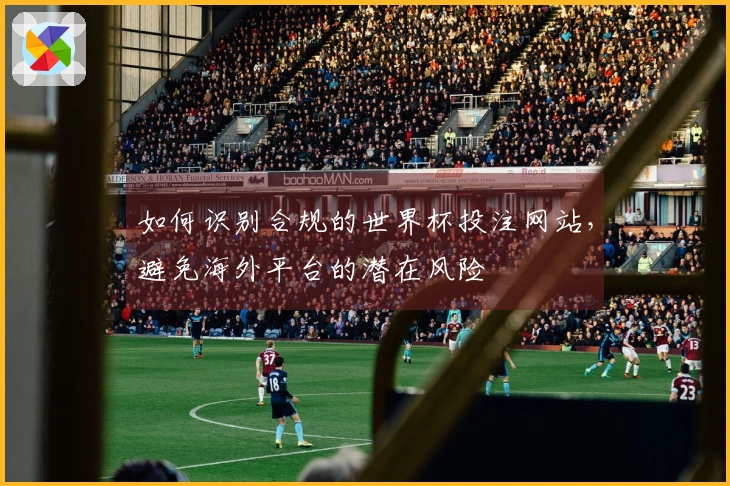 如何识别合规的世界杯投注网站，避免海外平台的潜在风险