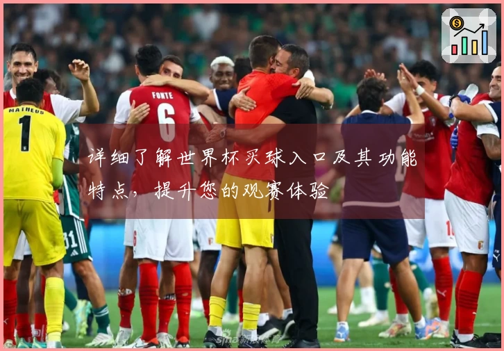 详细了解世界杯买球入口及其功能特点，提升您的观赛体验