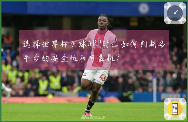 选择世界杯买球APP时，如何判断各平台的安全性和可靠性？
