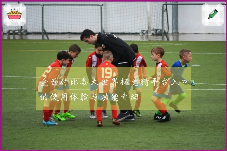 全面对比各大世界杯竞猜平台入口的使用体验与功能介绍