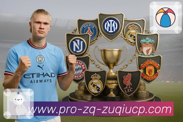 全球用户分布热度图